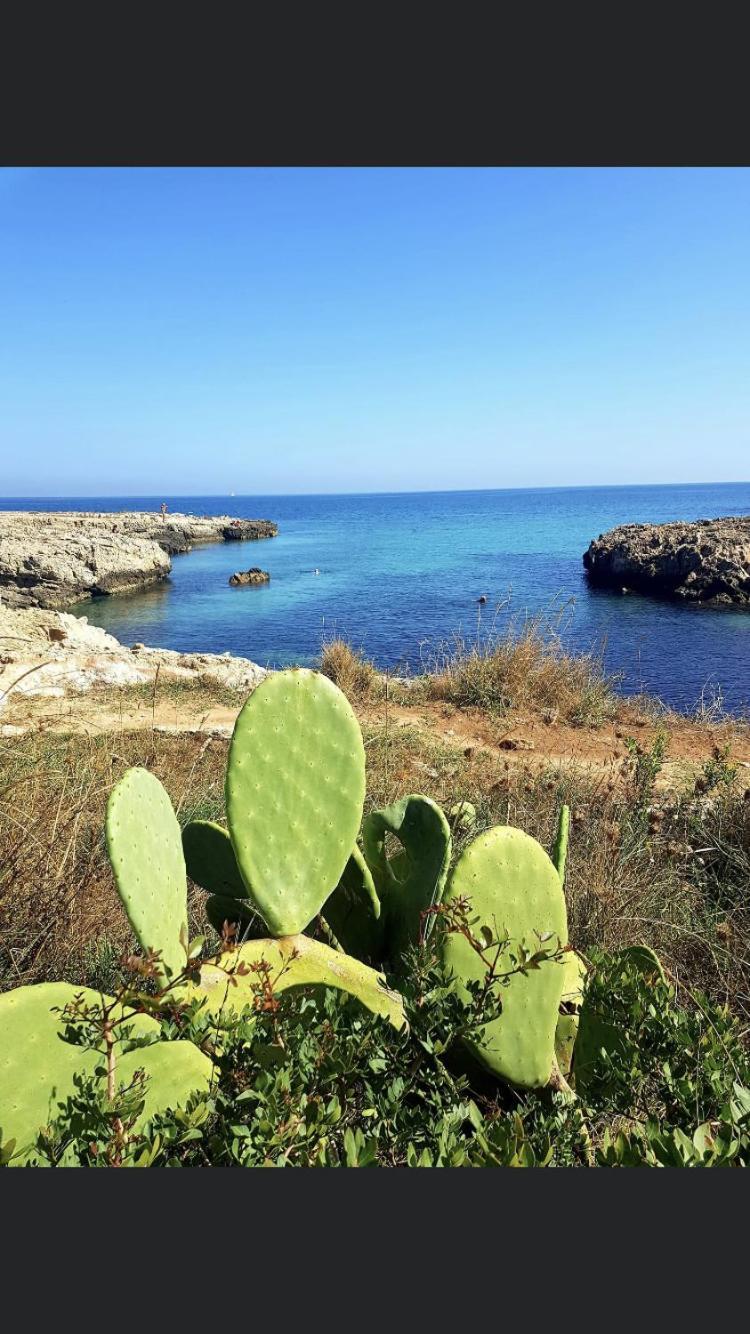 Ristella Home Monopoli Εξωτερικό φωτογραφία